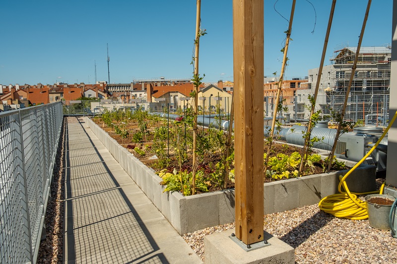 De vrais jardins partagés sur les toits du jardin florentin, une utilisation par les résidents en image