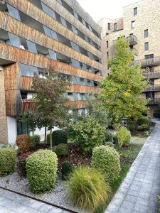 Le patio végétalisé du Grand Angle